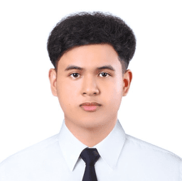 Player Avatar Image