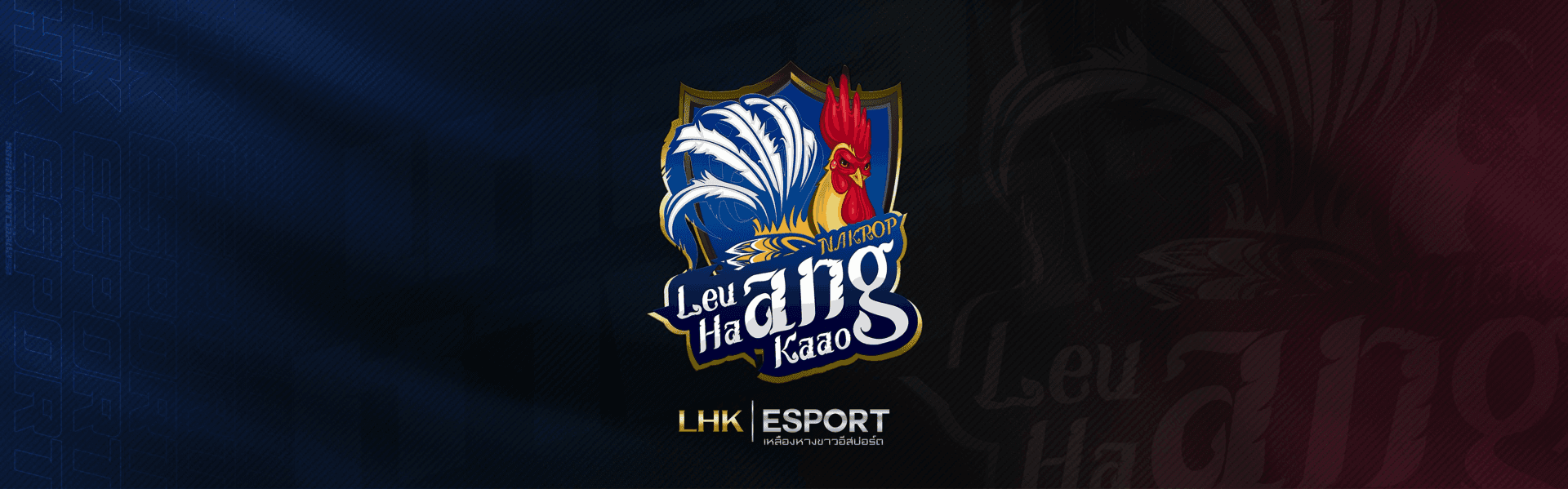 Tournament Cover