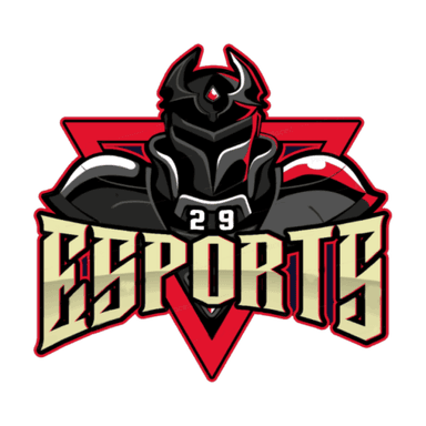 Player Avatar Image