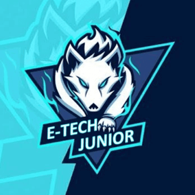 Player Avatar Image