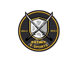 Player Avatar Image